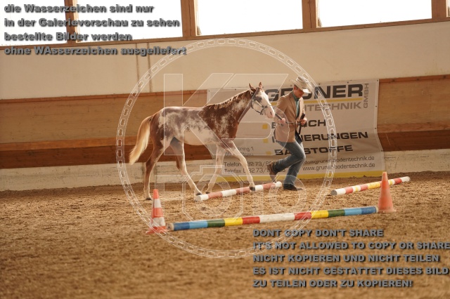 s_A_901114.JPG